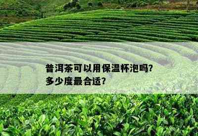 普洱茶可以用保温杯泡吗？多少度最合适？