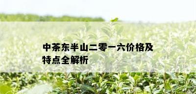 中茶东半山二零一六价格及特点全解析