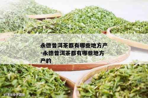 永德普洱茶都有哪些地方产-永德普洱茶都有哪些地方产的