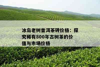 冰岛老树普洱茶砖价格：探究稀有800年古树茶的价值与市场价格