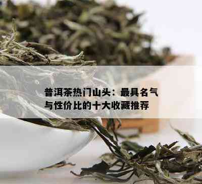 普洱茶热门山头：更具名气与性价比的十大收藏推荐