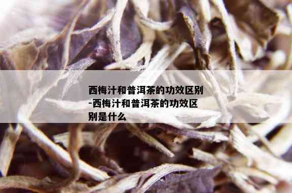 西梅汁和普洱茶的功效区别-西梅汁和普洱茶的功效区别是什么