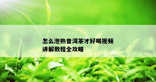 怎么泡熟普洱茶才好喝视频讲解教程全攻略