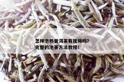 怎样泡熟普洱茶有视频吗？完整的泡茶方法教程！