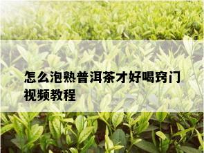 怎么泡熟普洱茶才好喝窍门视频教程