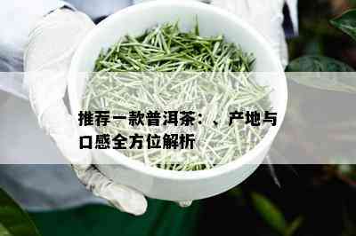 推荐一款普洱茶：、产地与口感全方位解析