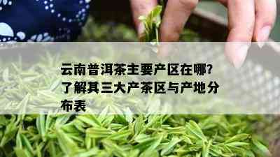 云南普洱茶主要产区在哪？了解其三大产茶区与产地分布表