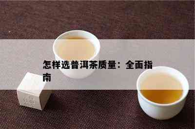 怎样选普洱茶质量：全面指南