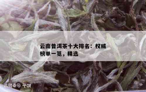 云南普洱茶十大排名：权威榜单一览，精选