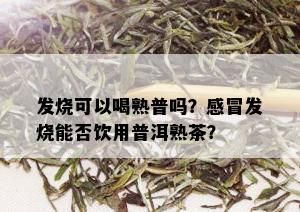 发烧可以喝熟普吗？感冒发烧能否饮用普洱熟茶？