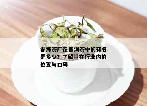 春海茶厂在普洱茶中的排名是多少？了解其在行业内的位置与口碑