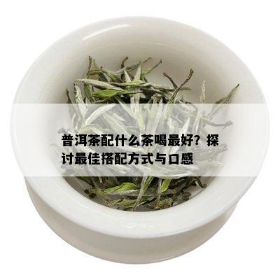 普洱茶配什么茶喝更好？探讨更佳搭配方式与口感