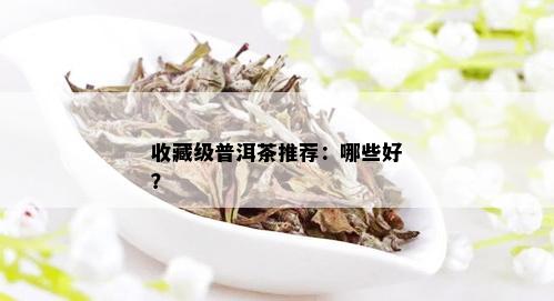 收藏级普洱茶推荐：哪些好？