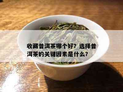 收藏普洱茶哪个好？选择普洱茶的关键因素是什么？