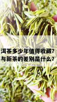 普洱茶多少年值得收藏？老茶与新茶的差别是什么？