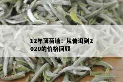 12年薄荷塘：从普洱到2020的价格回顾