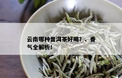 云南哪种普洱茶好喝？、香气全解析！