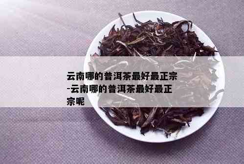 云南哪的普洱茶更好最正宗-云南哪的普洱茶更好最正宗呢