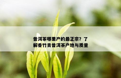 普洱茶哪里产的最正宗？了解香竹青普洱茶产地与质量