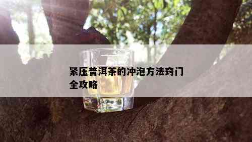 紧压普洱茶的冲泡方法窍门全攻略