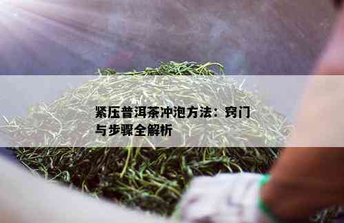 紧压普洱茶冲泡方法：窍门与步骤全解析