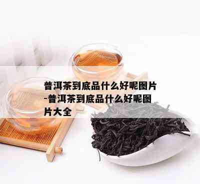 普洱茶到底品什么好呢图片-普洱茶到底品什么好呢图片大全