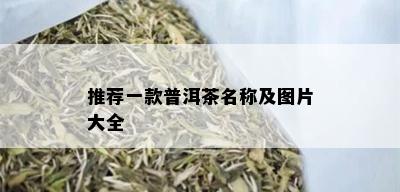 推荐一款普洱茶名称及图片大全