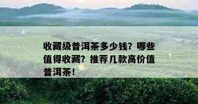 收藏级普洱茶多少钱？哪些值得收藏？推荐几款高价值普洱茶！