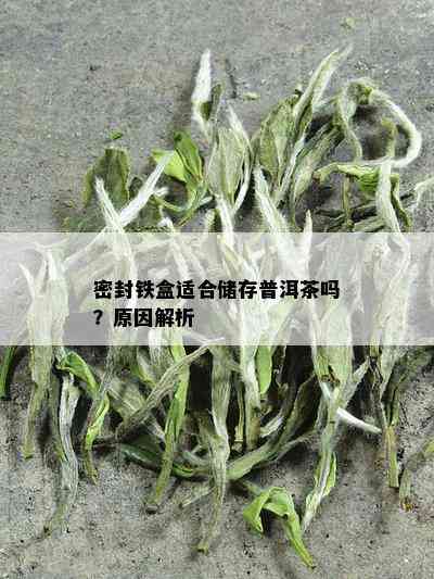 密封铁盒适合储存普洱茶吗？原因解析