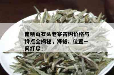 南糯山石头老寨古树价格与特点全揭秘，海拔、位置一网打尽！