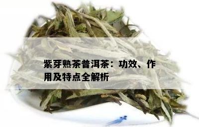 紫芽熟茶普洱茶：功效、作用及特点全解析