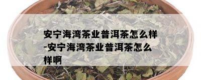 安宁海湾茶业普洱茶怎么样-安宁海湾茶业普洱茶怎么样啊