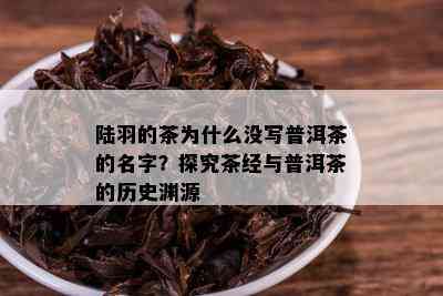 陆羽的茶为什么没写普洱茶的名字？探究茶经与普洱茶的历史渊源