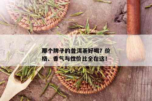 那个牌子的普洱茶好喝？价格、香气与性价比全在这！