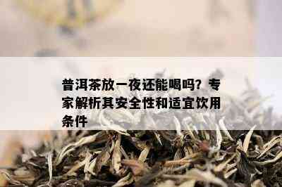 普洱茶放一夜还能喝吗？专家解析其安全性和适宜饮用条件