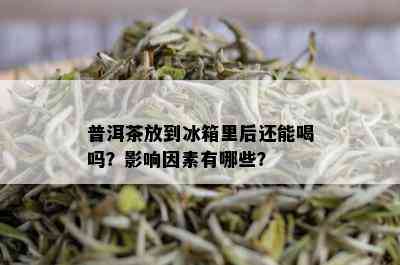 普洱茶放到冰箱里后还能喝吗？影响因素有哪些？