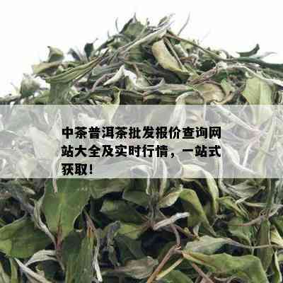 中茶普洱茶批发报价查询网站大全及实时行情，一站式获取！