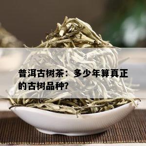 普洱古树茶：多少年算真正的古树品种？