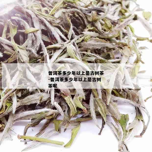 普洱茶多少年以上是古树茶-普洱茶多少年以上是古树茶呢