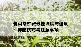 普洱茶贮藏更佳温度与湿度：存储技巧与注意事项