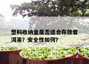 塑料收纳盒是否适合存放普洱茶？安全性如何？