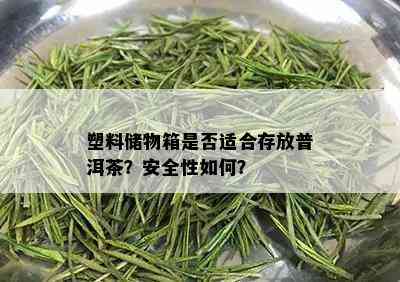 塑料储物箱是否适合存放普洱茶？安全性如何？