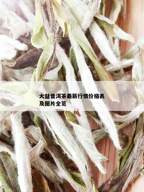 大益普洱茶最新行情价格表及图片全览