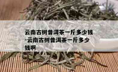 云南古树普洱茶一斤多少钱-云南古树普洱茶一斤多少钱啊