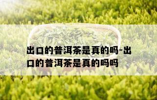 出口的普洱茶是真的吗-出口的普洱茶是真的吗吗