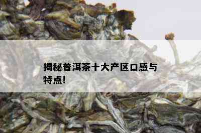 揭秘普洱茶十大产区口感与特点!