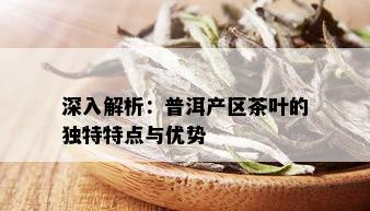 深入解析：普洱产区茶叶的独特特点与优势