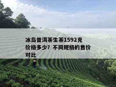 冰岛普洱茶生茶1592克价格多少？不同规格的售价对比