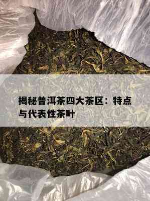 揭秘普洱茶四大茶区：特点与代表性茶叶