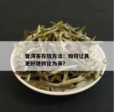 普洱茶存放方法：如何让其更好地转化为茶？